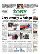 Tyg. Żory