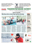 Tyg. Tarnowskie Góry