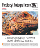 Plebiscyt