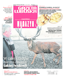 Gazeta Lubuska Żary, Żagań, Nowa Sól, Wschowa, Głogów, Polkowice