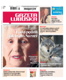 Gazeta Lubuska Zielona Góra, Świebodzin, Krosno Odrzańskie, Nowy Tomyśl, Wolsztyn