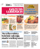 Gazeta Lubuska Zielona Góra, Świebodzin, Krosno Odrzańskie, Nowy Tomyśl, Wolsztyn