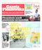 Gazeta Pleszewska