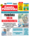 Gazeta Pleszewska