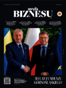 Strefa Biznesu. Śląsk