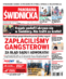 Panorama Świdnicka