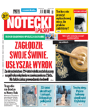 Notecki Tygodnik Pilski