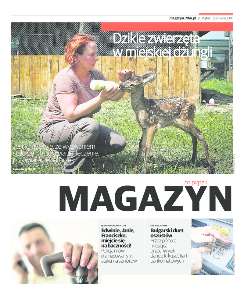 Nowości Dziennik Toruński