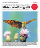 dodatek do grzbietu głównego 3