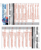 dodatek do grzbietu głównego 3