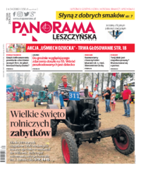 Panorama Leszczyńska