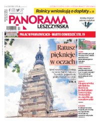 Panorama Leszczyńska