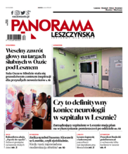 Panorama Leszczyńska
