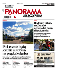 Panorama Leszczyńska