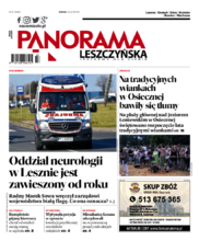 Panorama Leszczyńska