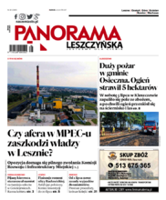 Panorama Leszczyńska