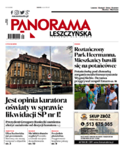 Panorama Leszczyńska
