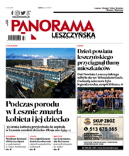 Panorama Leszczyńska