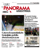 Panorama Leszczyńska