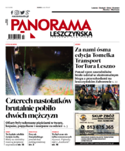 Panorama Leszczyńska