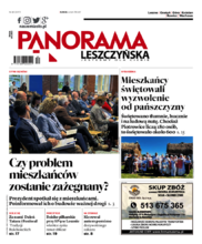 Panorama Leszczyńska
