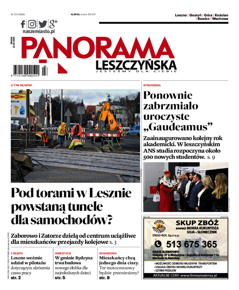 Panorama Leszczyńska