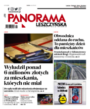 Panorama Leszczyńska