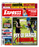 Express Ilustrowany