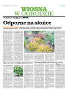 dodatek specjalny do gratki