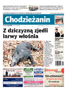 Tyg. Chodzieżanin