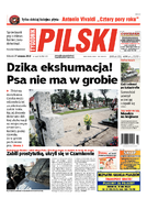 Tyg. Pilski