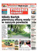 Tyg. Tygodnik Śremski