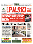 Tyg. Pilski teren