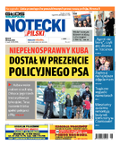 Notecki Tygodnik Pilski