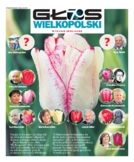 dodatek specjalny do grzbietu głównego