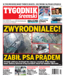 Tyg. Tygodnik Śremski