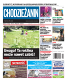 Tyg. Chodzieżanin