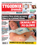 Tyg. Tygodnik Śremski