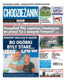 Tyg. Chodzieżanin