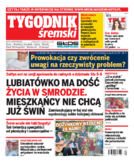 Tyg. Tygodnik Śremski