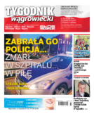 Tyg. Tygodnik Wągrowiecki