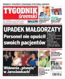 Tyg. Tygodnik Śremski