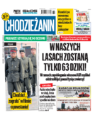 Tyg. Chodzieżanin