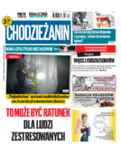 Tyg. Chodzieżanin