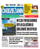 Tyg. Chodzieżanin