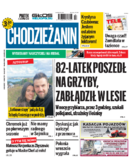 Tyg. Chodzieżanin