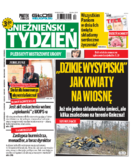 Tyg. Gnieźnieński Tydzień