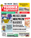 Tyg. Tygodnik Wągrowiecki