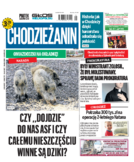 Tyg. Chodzieżanin