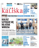 Ziemia Kaliska miasto